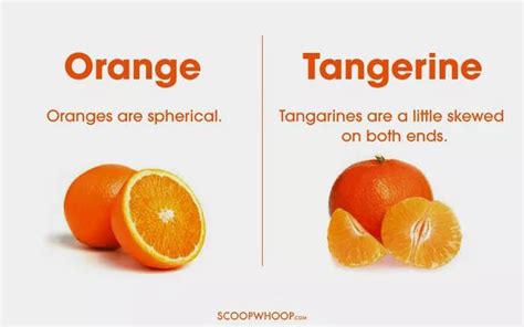things that are similar to one another